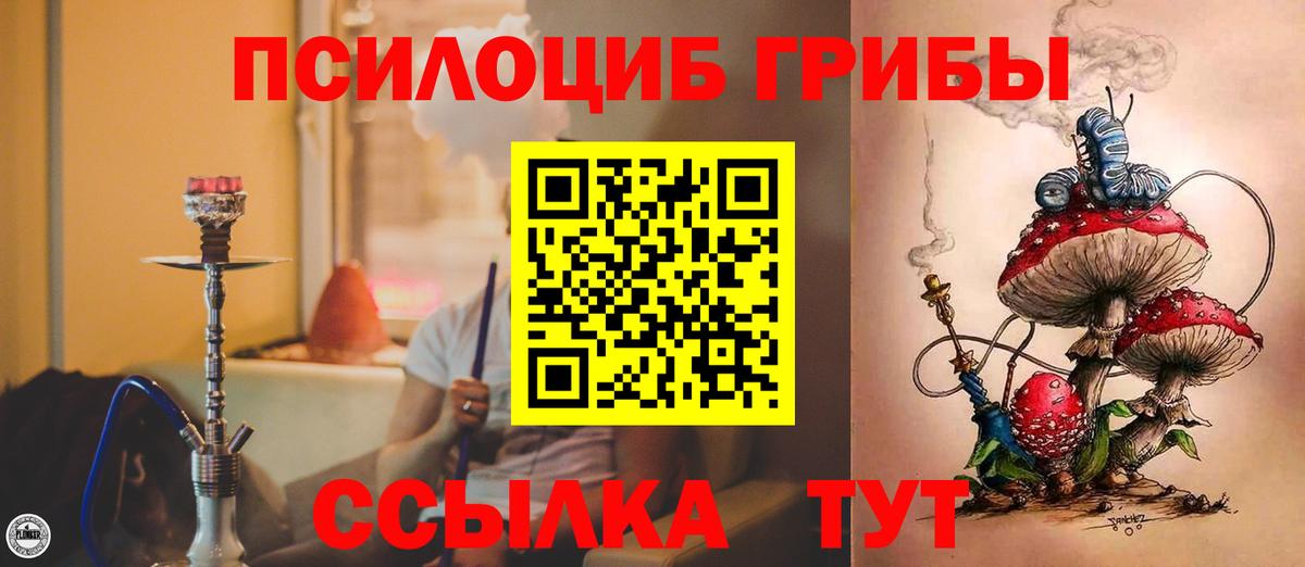 Галлюциногенные грибы Magic Shrooms  Вход с VPN  наркотики  Кудрово 