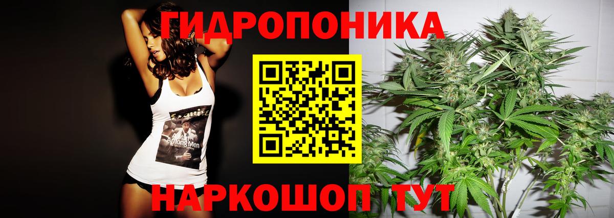 Бошки Шишки SATIVA & INDICA Кудрово